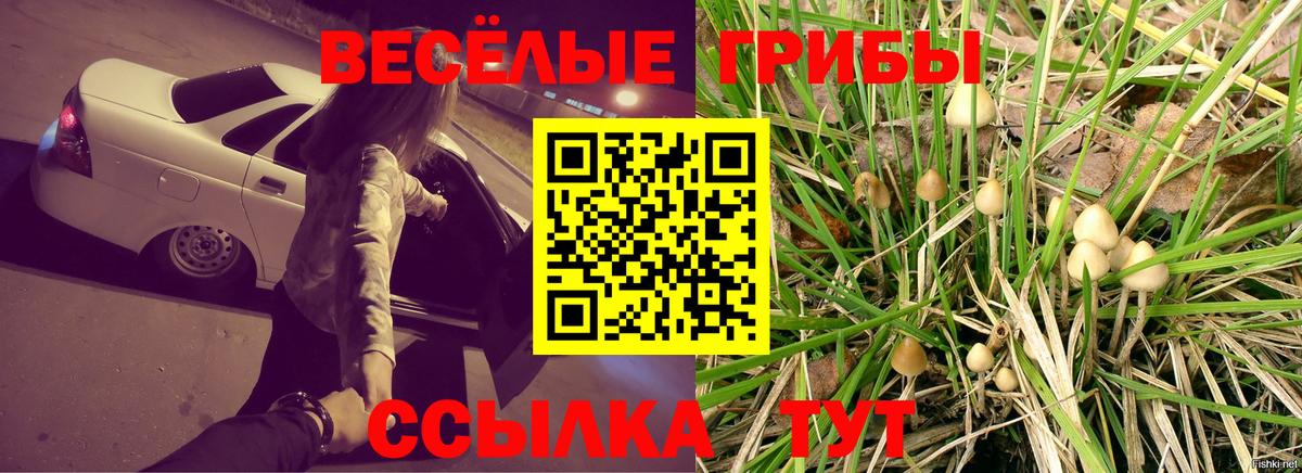 Галлюциногенные грибы Magic Shrooms  Вход с VPN  Первоуральск  Галлюциногенные грибы Psilocybe 